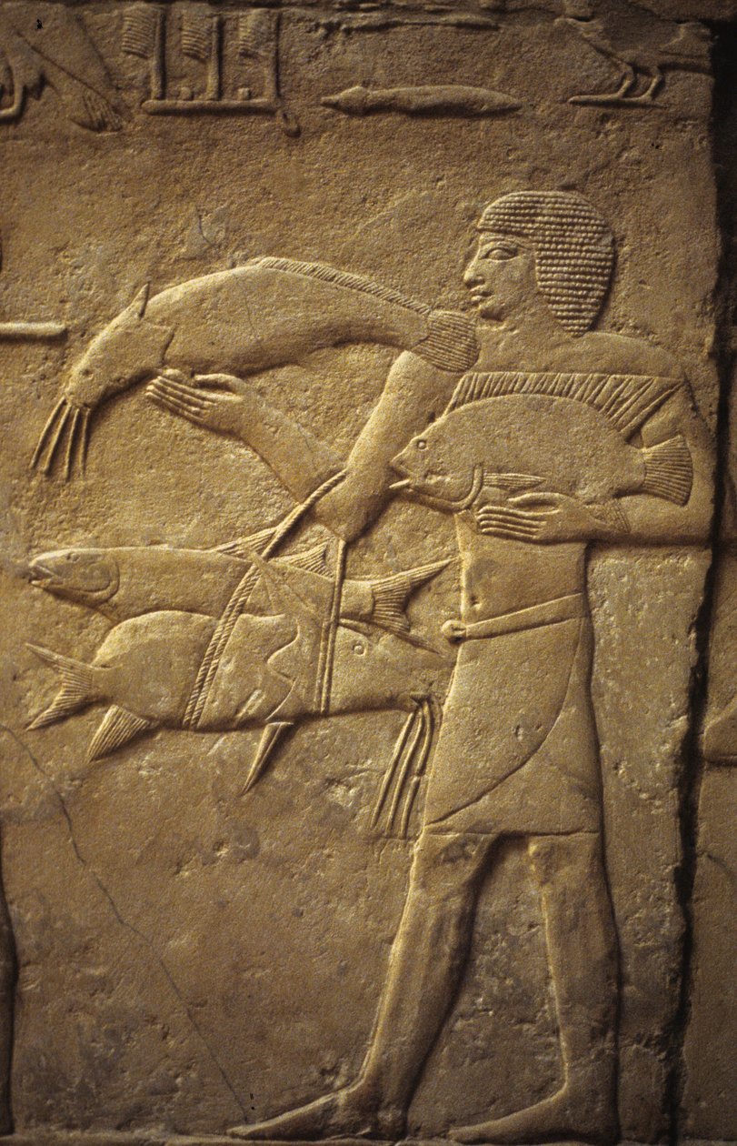 Antico Egitto: Saqqara: necropoli dell