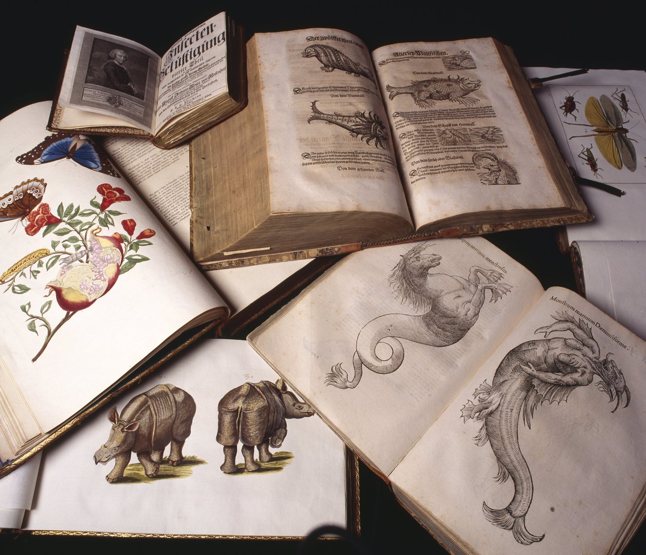 Libri di zoologia antica da Unbekannt