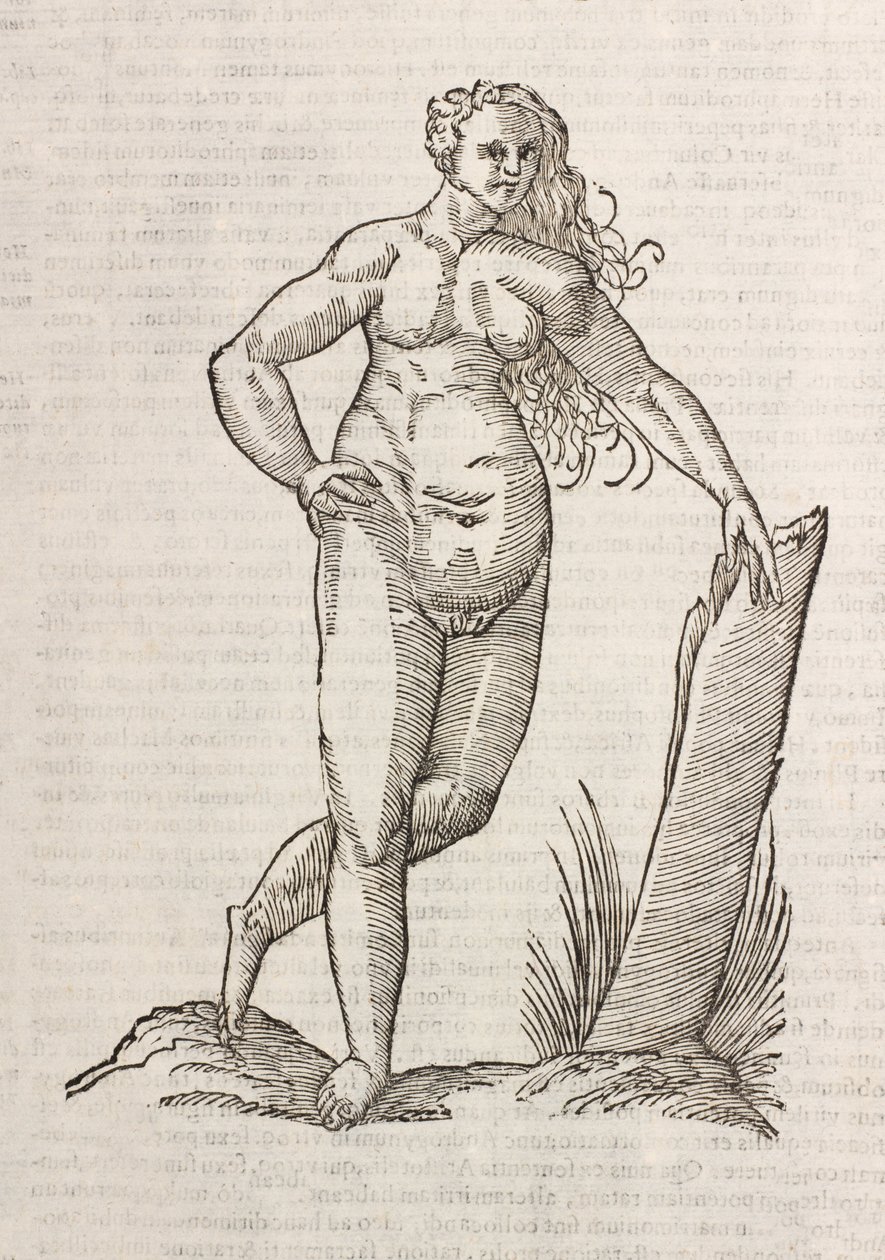 Androgino da Unbekannt