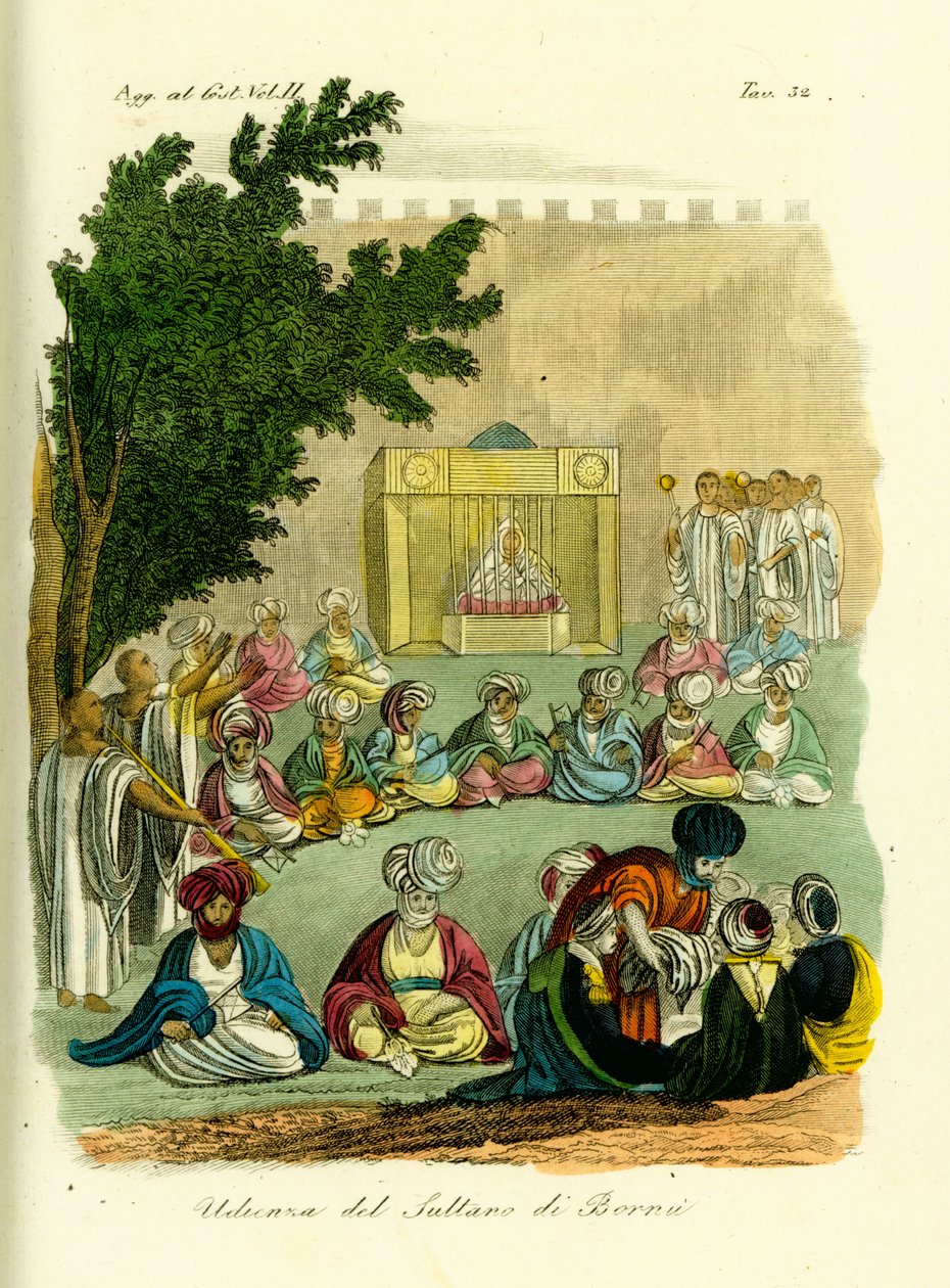 Udienza con il Sultano di Bornu da Unbekannt
