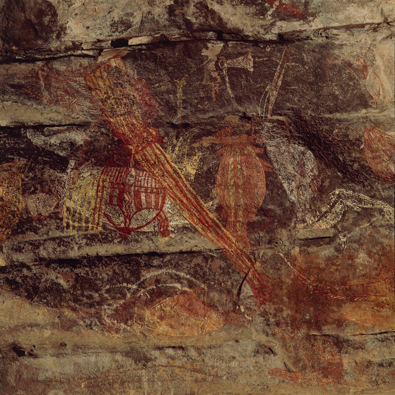 Australia, Territorio del Nord, Arnhem Land, Parco Nazionale Kakadu, Obiri Rock, pitture rupestri aborigene da Benjamin Baud
