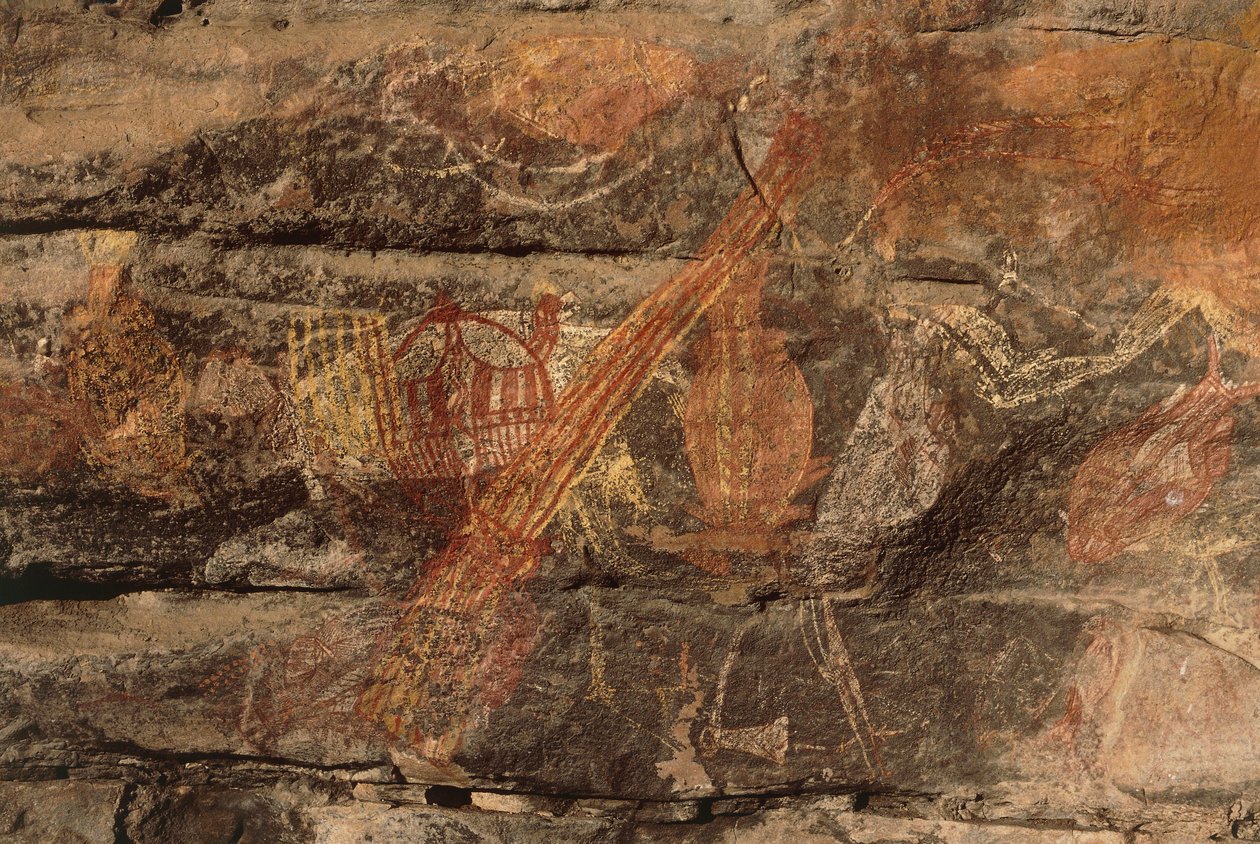 Australia, Territorio del Nord, Arnhem Land, Parco Nazionale Kakadu, Obiri Rock, pitture rupestri aborigene da Benjamin Baud