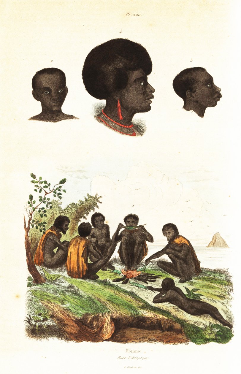 Aborigeni australiani e teste di nativi di Waigeo, Papua Occidentale. 1834-1839 (incisione) da Unbekannter Künstler