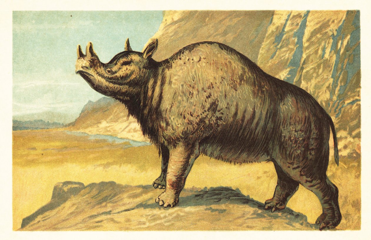Brontops robustus o Megacerops robustus. 1908 da Unbekannter Künstler