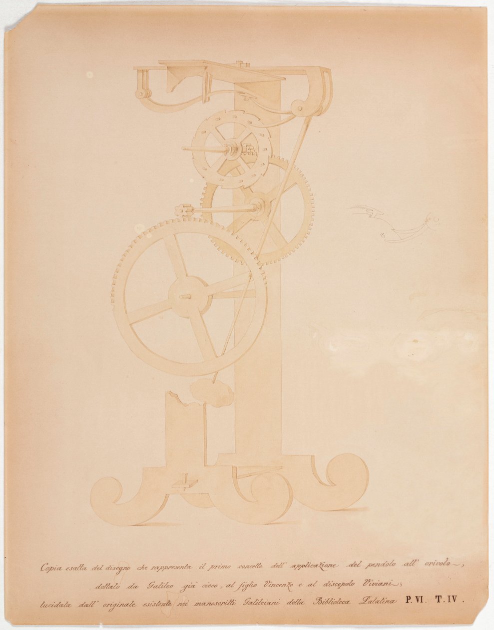 Disegno dell