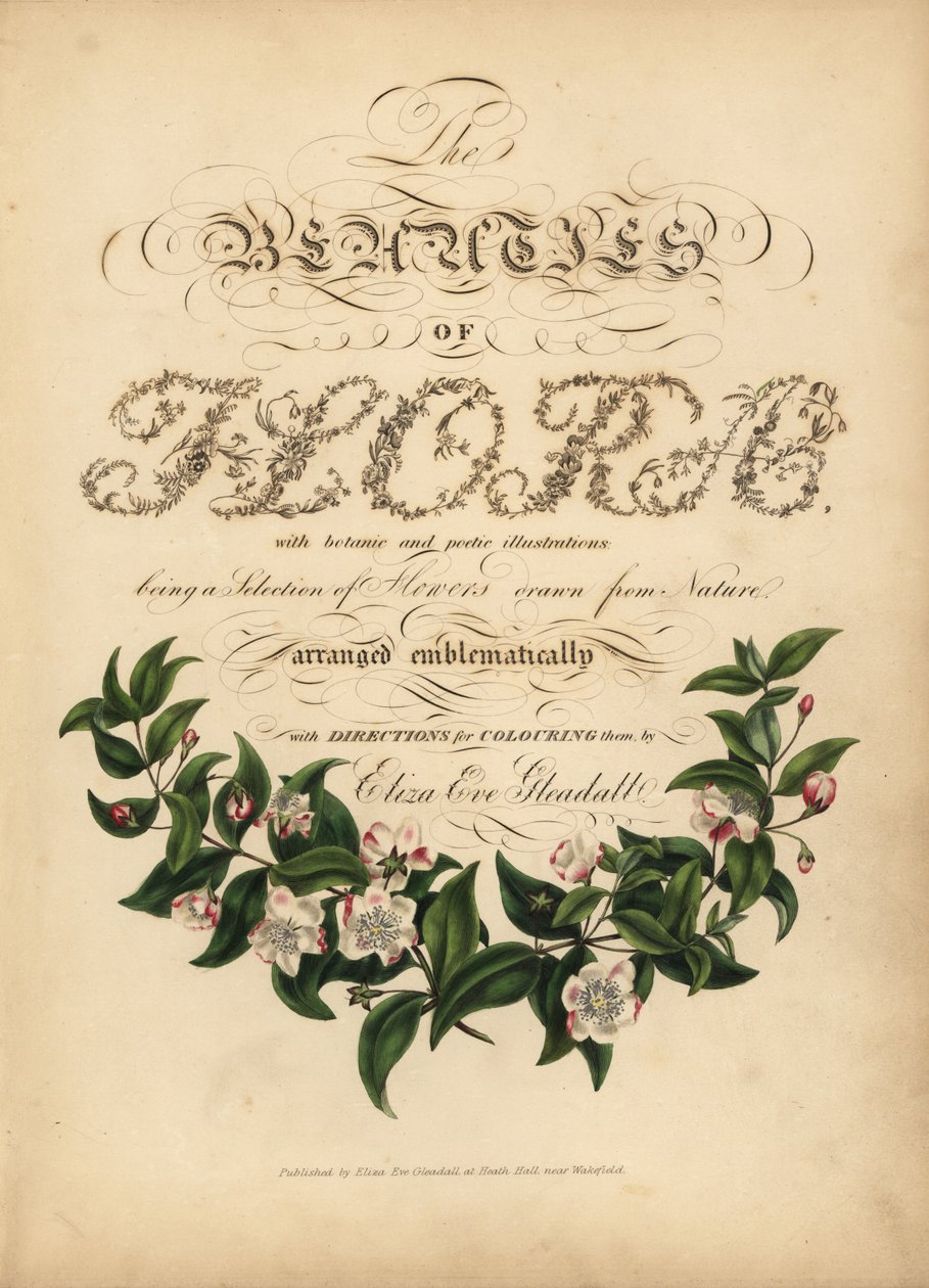 Pagina del titolo calligrafica con vignetta botanica da Unbekannt