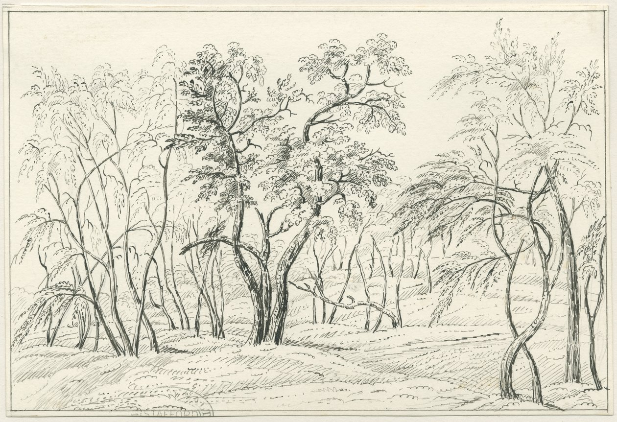 Cannock Chase da Unbekannt
