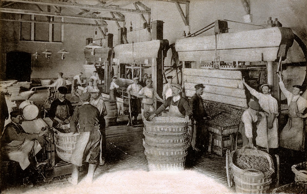 Champagne: pressatura dell