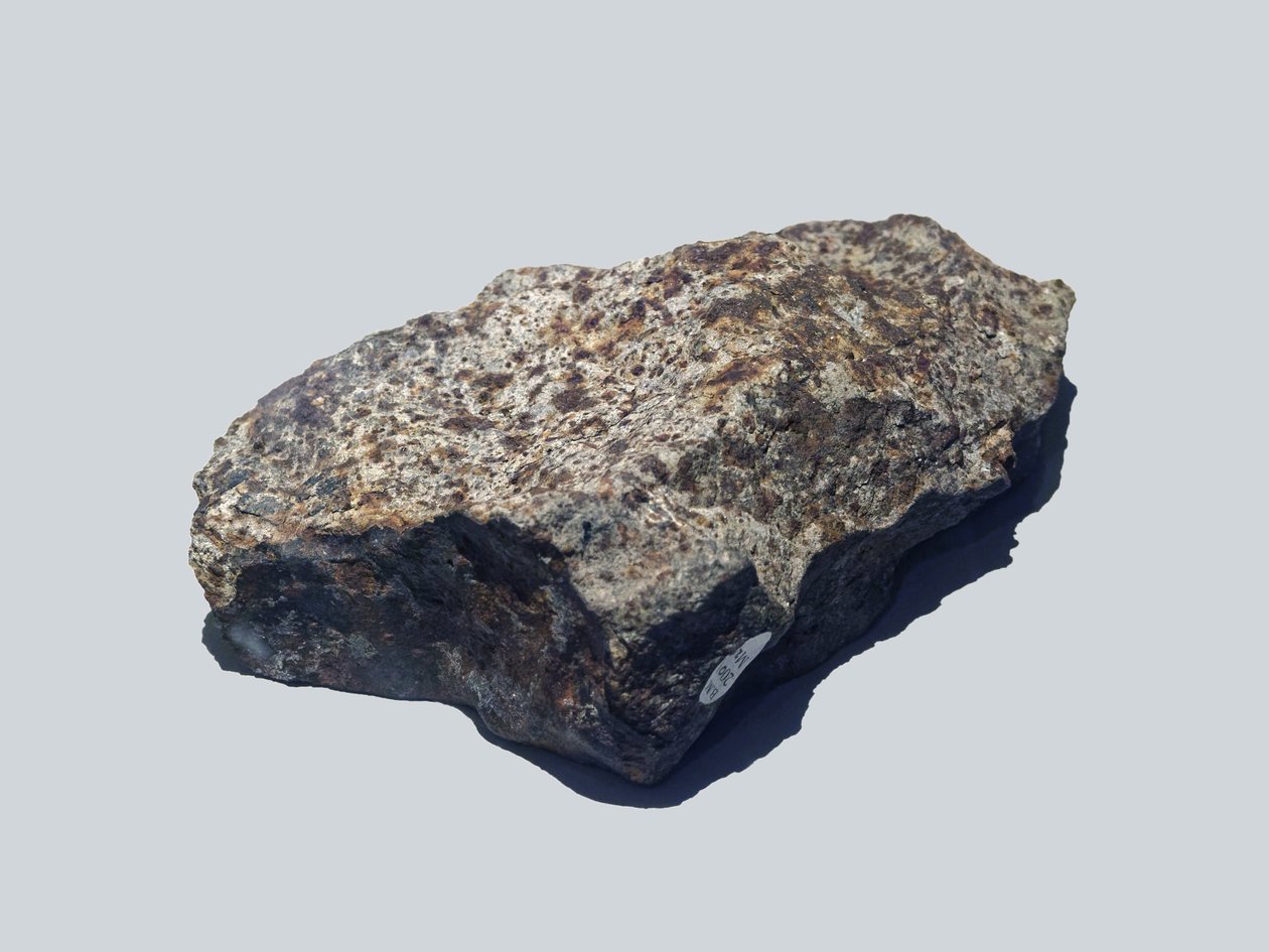 Condrite ordinaria (L5). Caduta a Valera (Venezuela) nel 1972. Museo di Storia Naturale, Londra. da Unbekannt