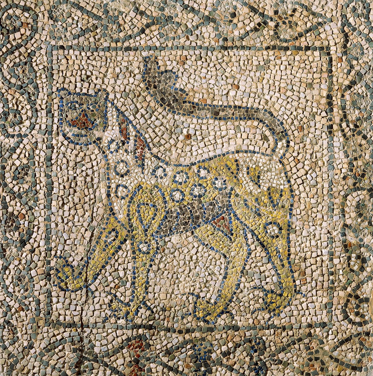 Chiesa di San Giovanni Evangelista, Quarta Crociata, Frammenti di pavimenti a mosaico rappresentanti una pantera maculata, Ravenna, Emilia-Romagna, Italia da William M. Timlin