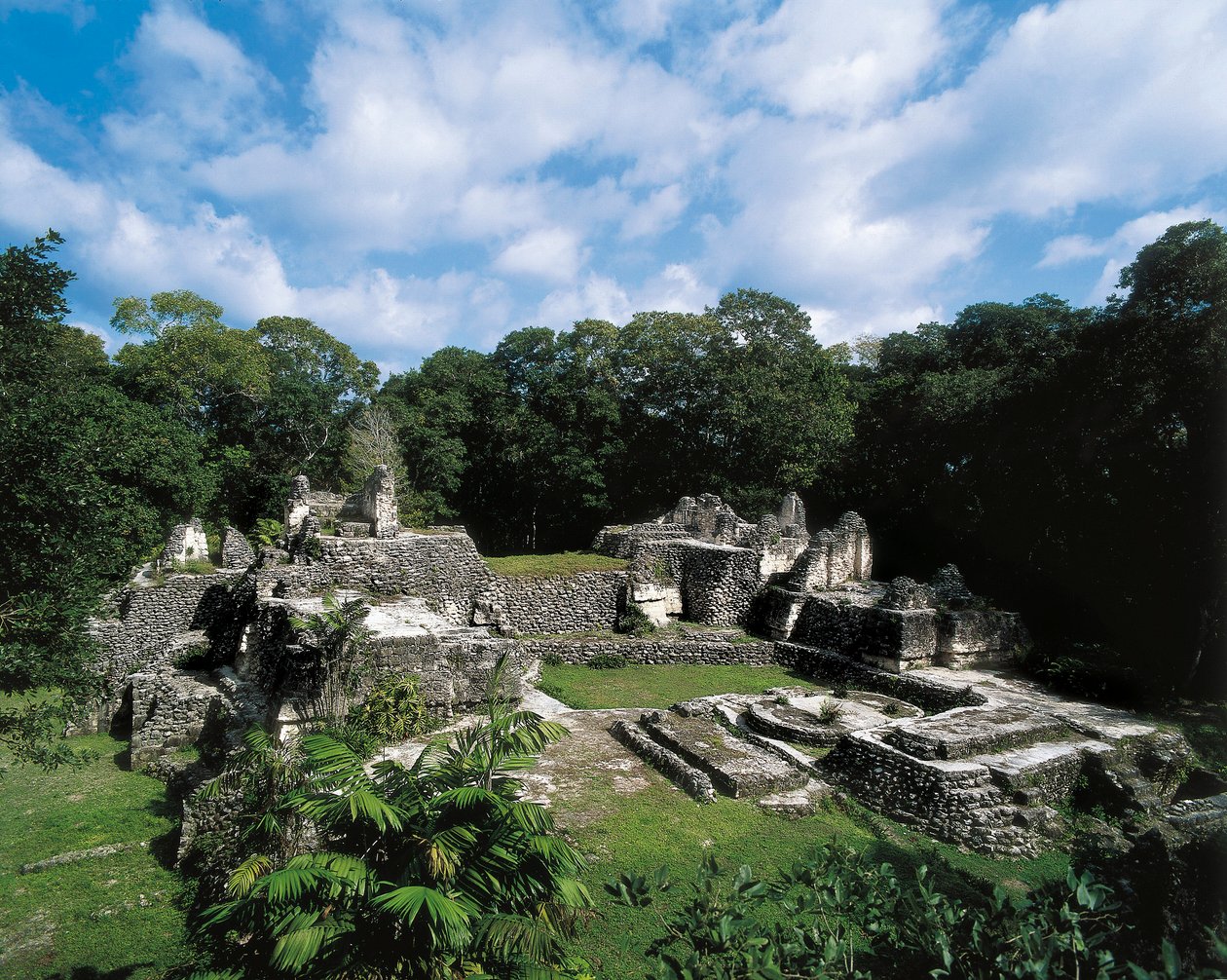 Civiltà precolombiana: vista del sito Maya di Uaxactun da Alec Hunter
