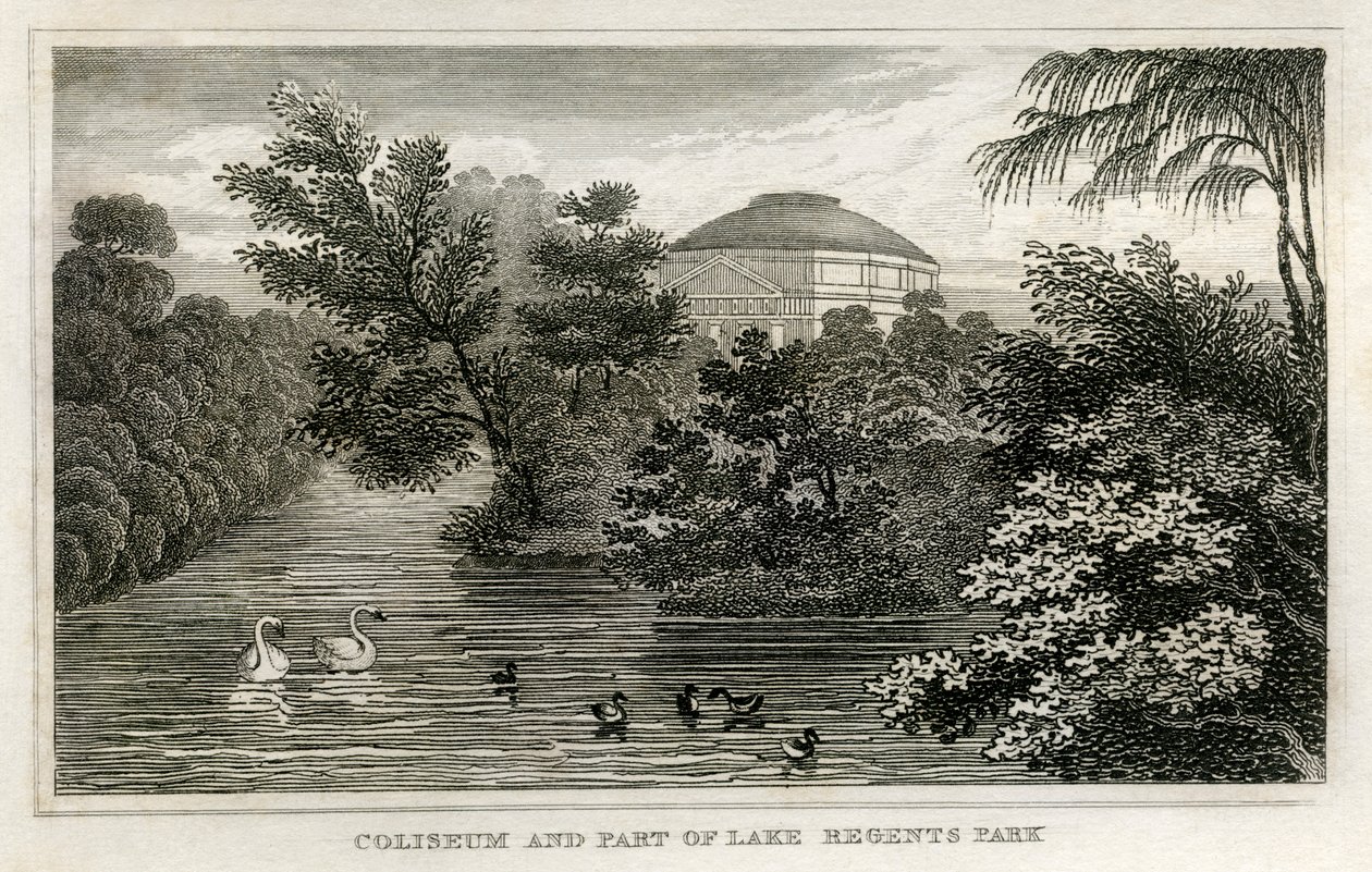Colosseo e lago, Regent