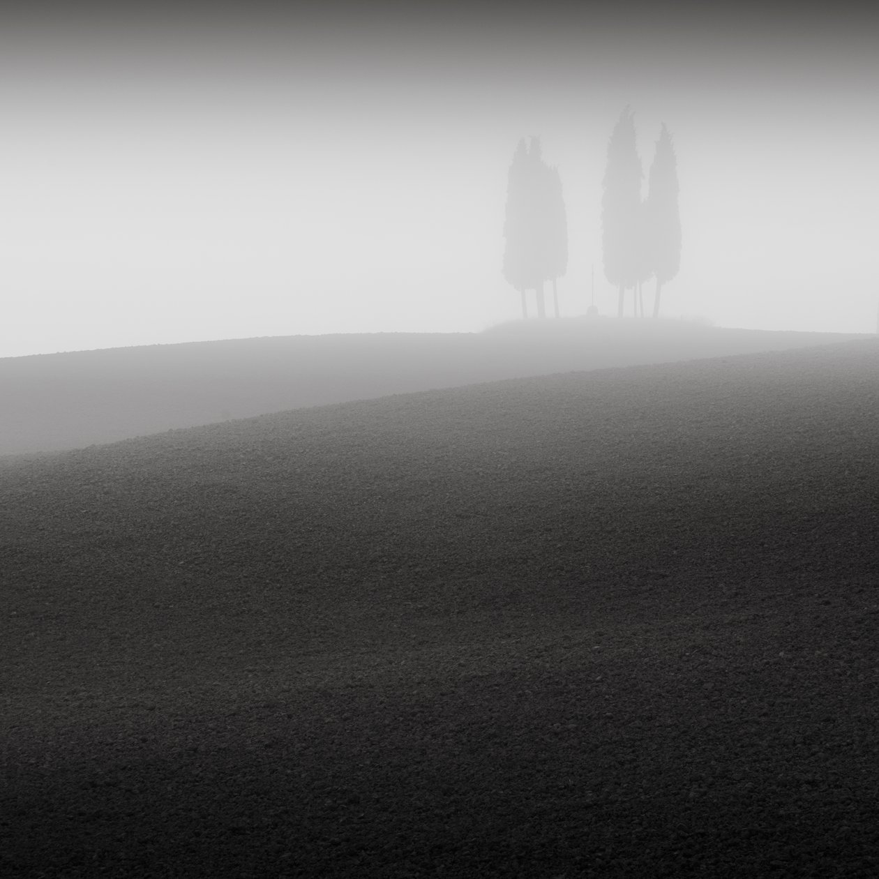 Conferenza, Toscana, Italia da Leopold Blonder