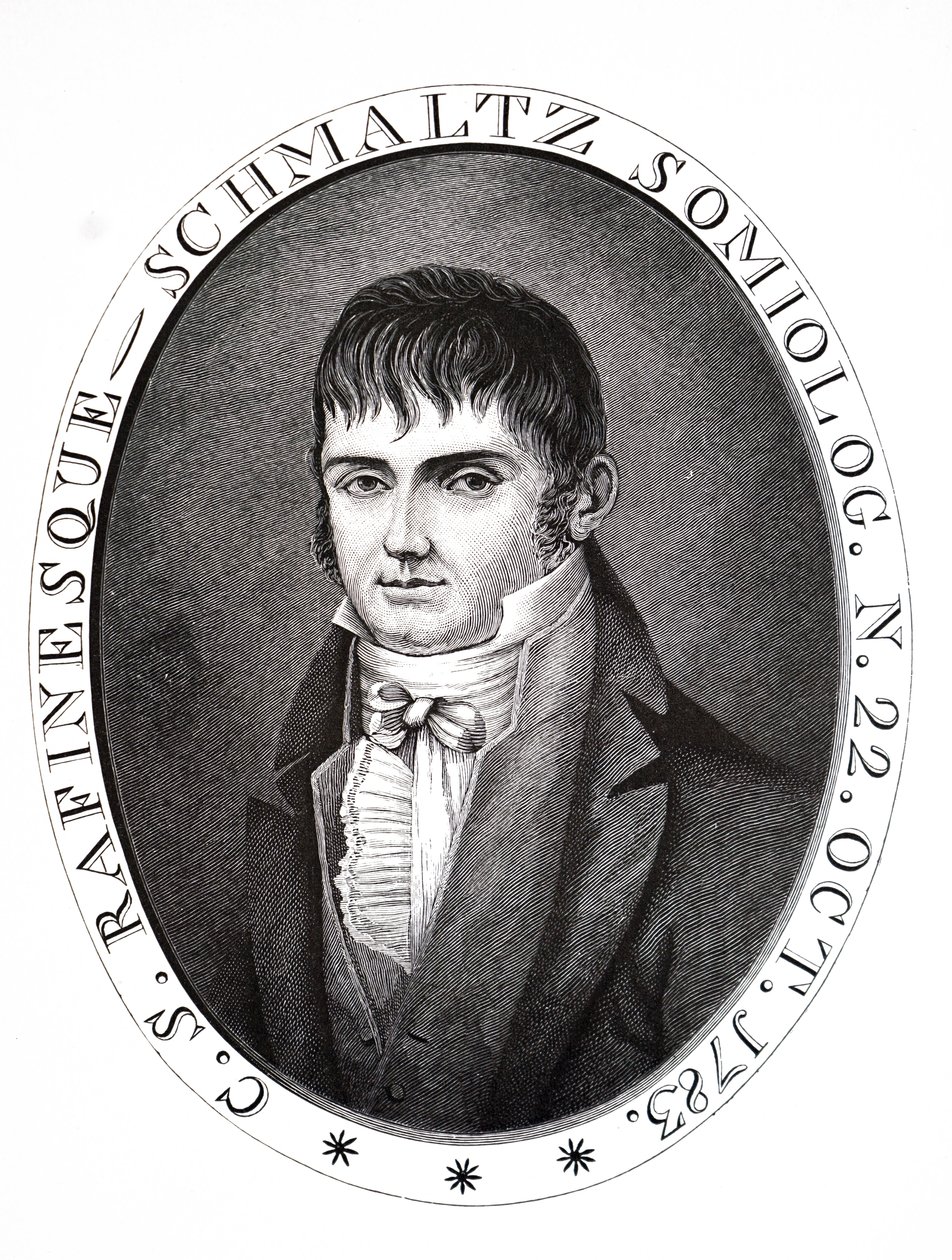 Constantine Samuel Rafinesque da Unbekannt