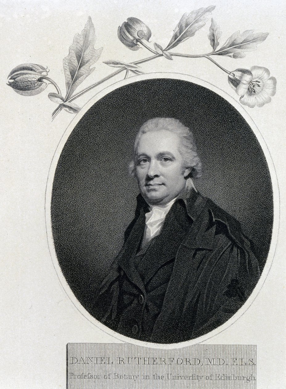 Daniel Rutherford, chimico e botanico scozzese, inizio XIX secolo da Unbekannt
