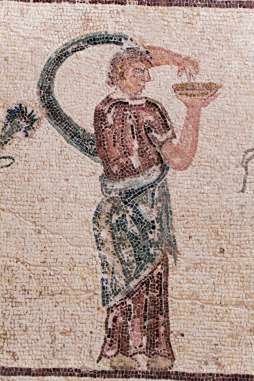(dettaglio) Il trionfo di Dioniso - Ritorno del dio da una spedizione militare in India - Una Baccante che tiene una ciotola per libagioni - Mosaici di Paphos, Casa di Dioniso, Fine del II secolo d.C. - Cipro da William M. Timlin