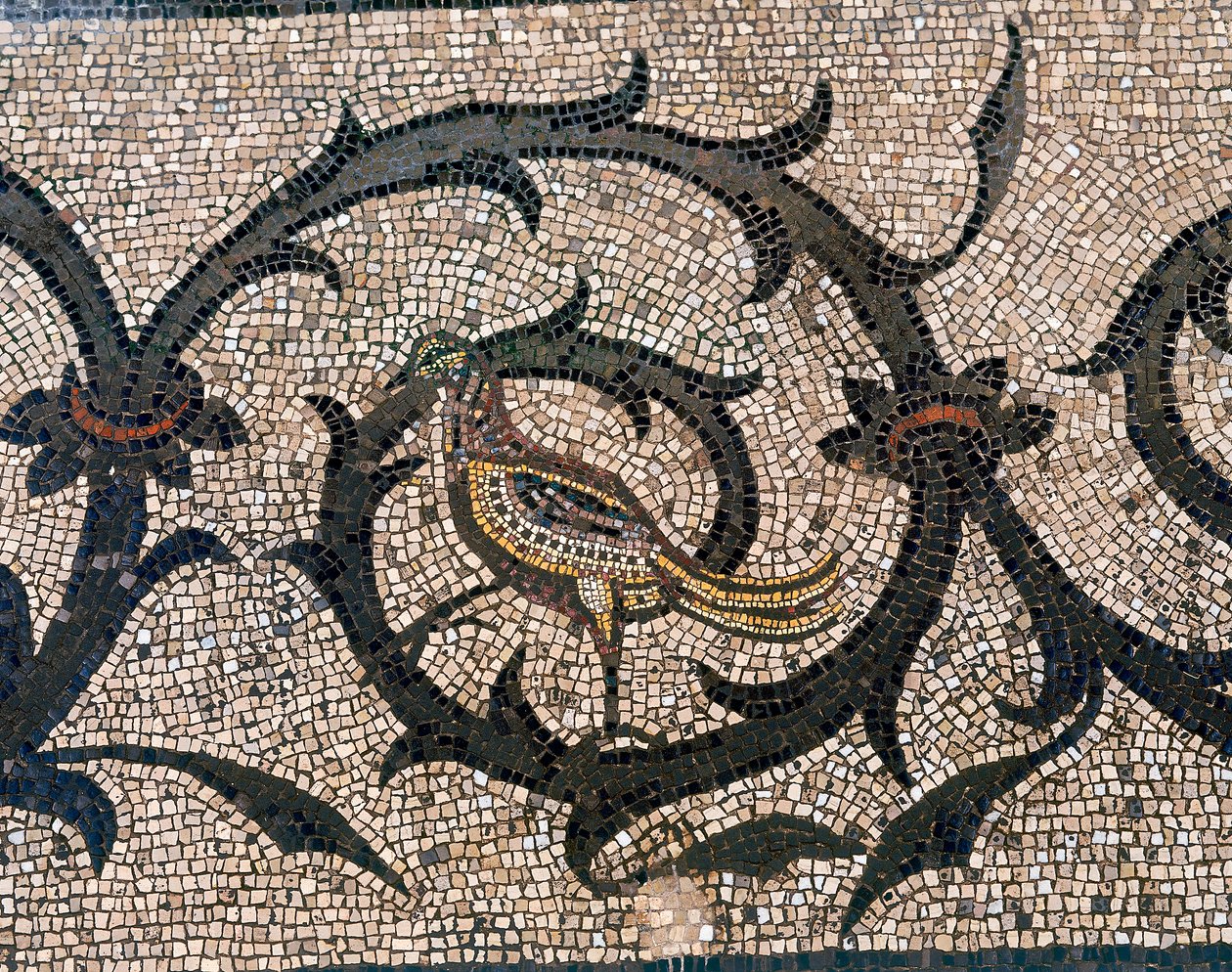 Dettaglio del pavimento della Basilica paleocristiana di Aquileia, Udine da Unbekannt