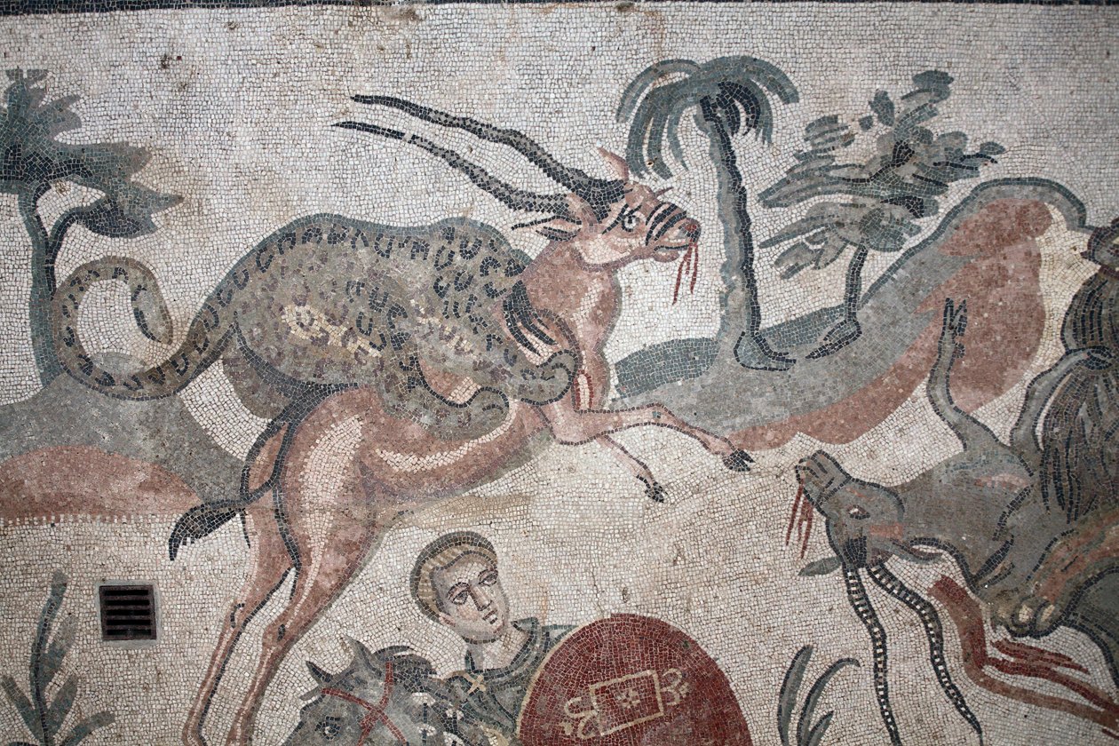 Dettaglio del mosaico della grande caccia. Un leopardo attacca una gazzella. III - IV secolo. Villa Romana del Casale, Sicilia. Sito UNESCO. da William M. Timlin