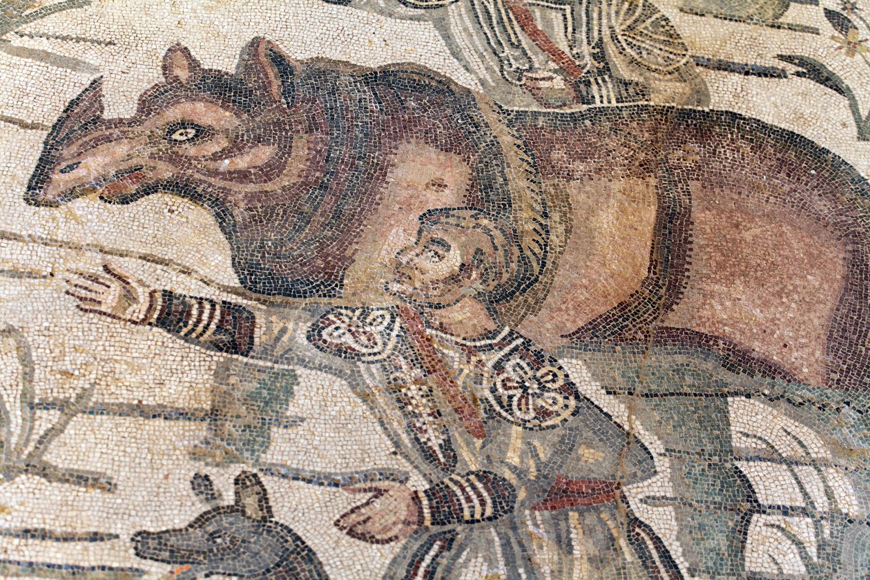 Dettaglio del mosaico della grande caccia. Un rinoceronte viene condotto su una barca per essere trasportato al porto più vicino. III - IV secolo. Villa Romana del Casale, Sicilia. Sito UNESCO. da William M. Timlin