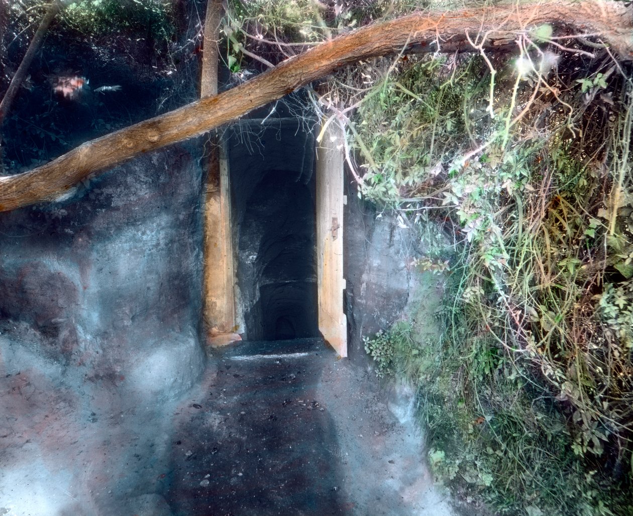 Grotta dei cani vicino a Napoli - i cani soffocano con il diossido di carbonio e l