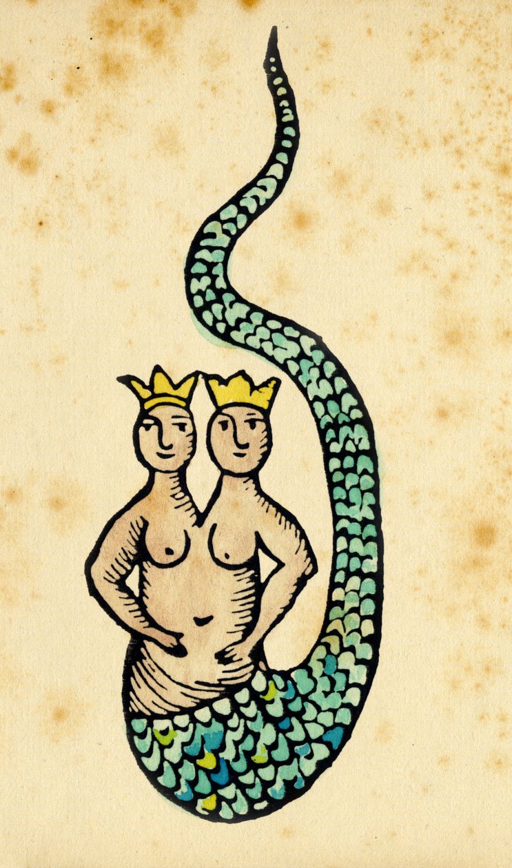 Sirena a doppia corona. Incisione di un trattato del 15° secolo da Unbekannter Künstler