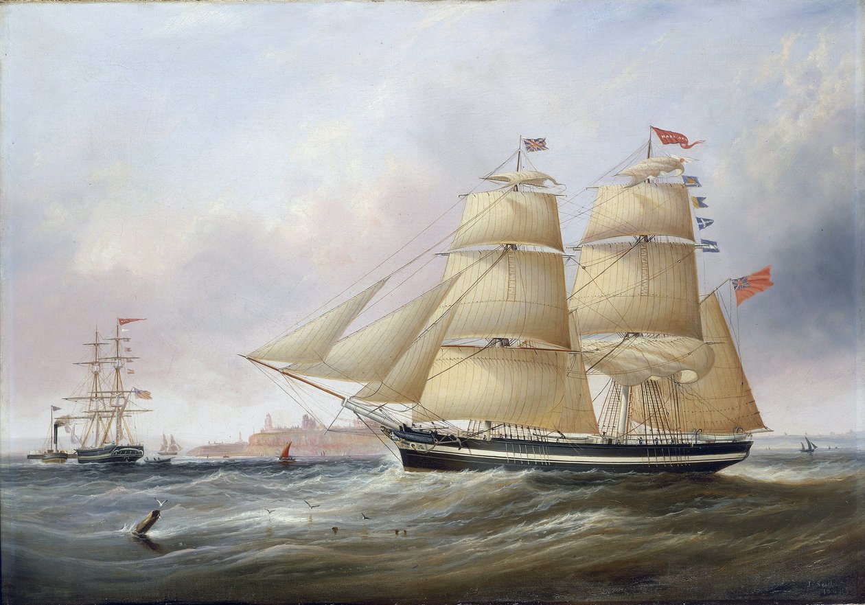 Doppio ritratto della barca 
