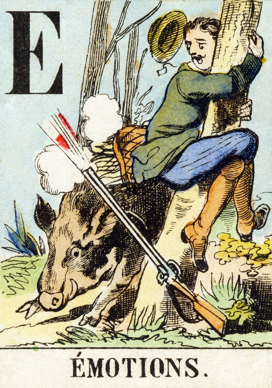 E : Emozioni - L