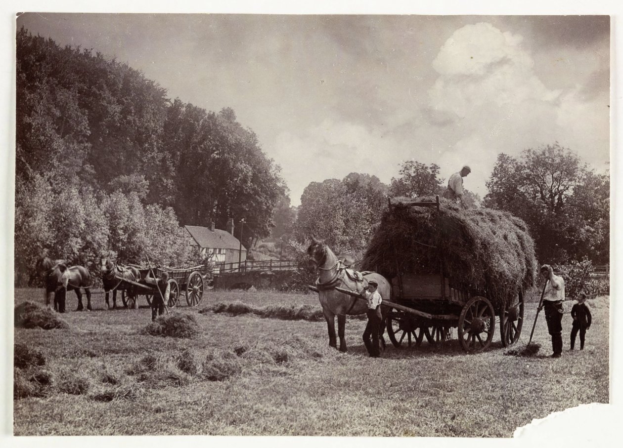 Scene di agricoltura, Raccolta e Conservazione, Fienagione, c 1890 da Unbekannt