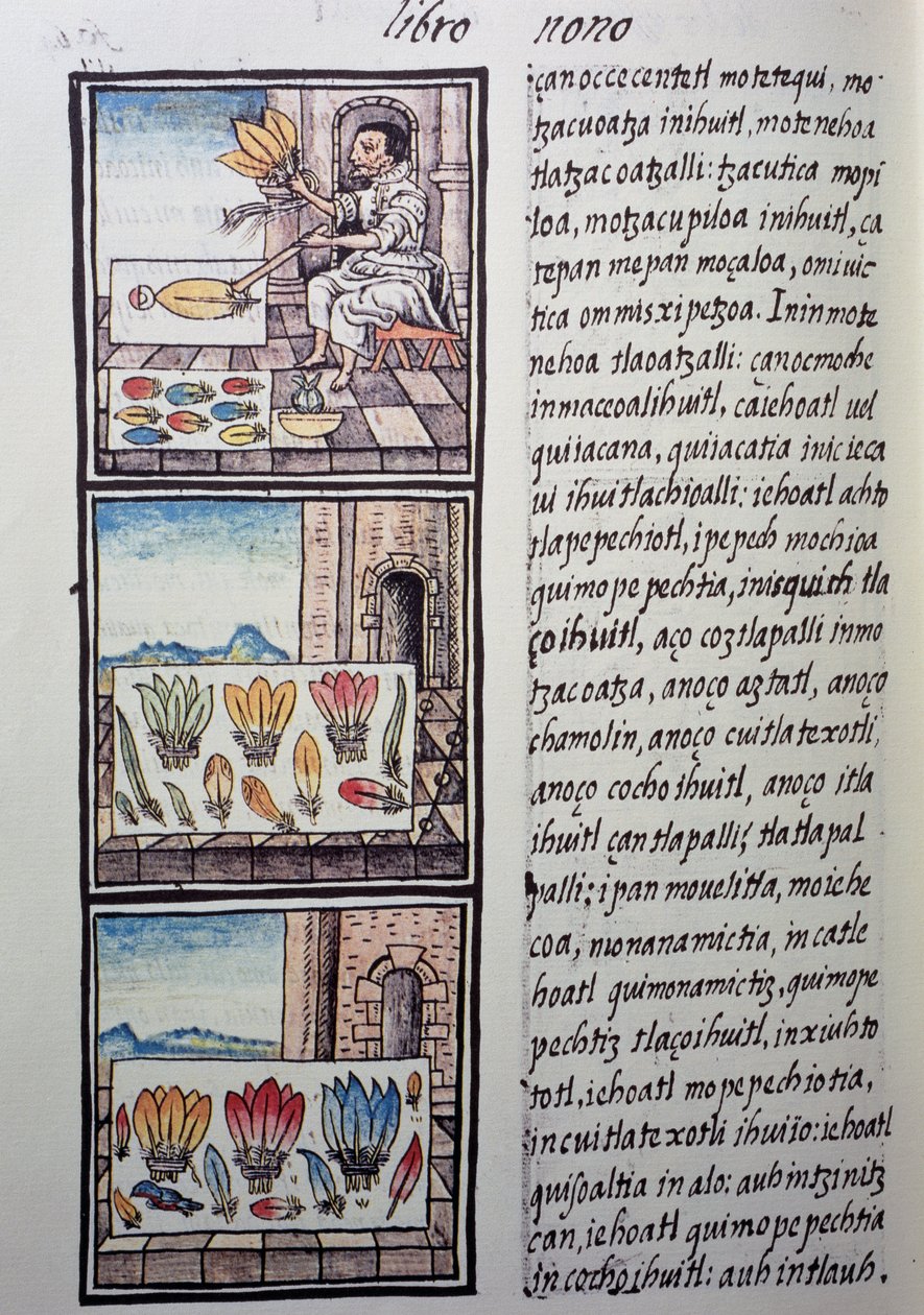 Lavorazione delle piume dopo la conquista spagnola, pagina dal Codice Fiorentino, versione bilingue in spagnolo e nahuatl, Storia generale delle cose della Nuova Spagna, del missionario spagnolo Fray Bernardino de Sahagun. Civiltà azteca da William M. Timlin