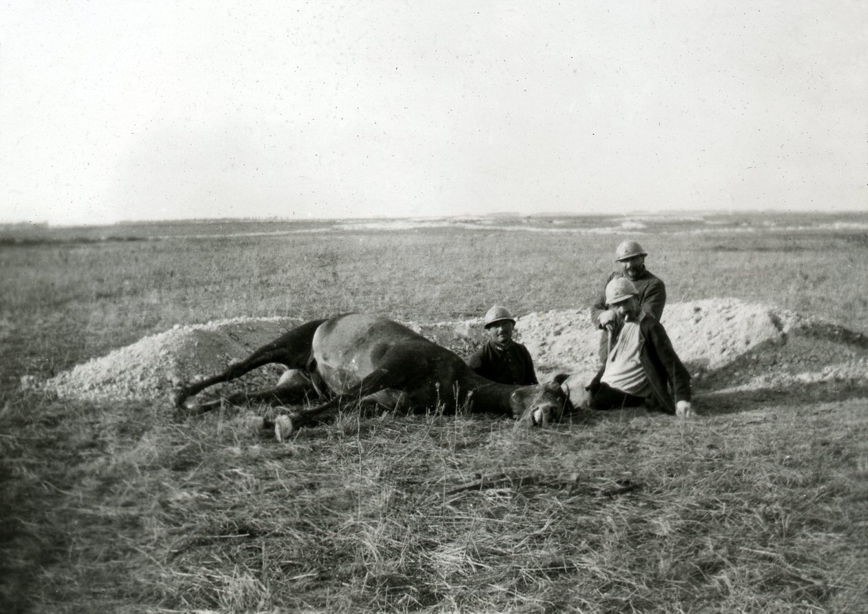 Prima Guerra Mondiale 14-18 (1914-1918): tre soldati francesi seppelliscono un cavallo morto - fotografia su lastra di vetro - da Unbekannter Künstler