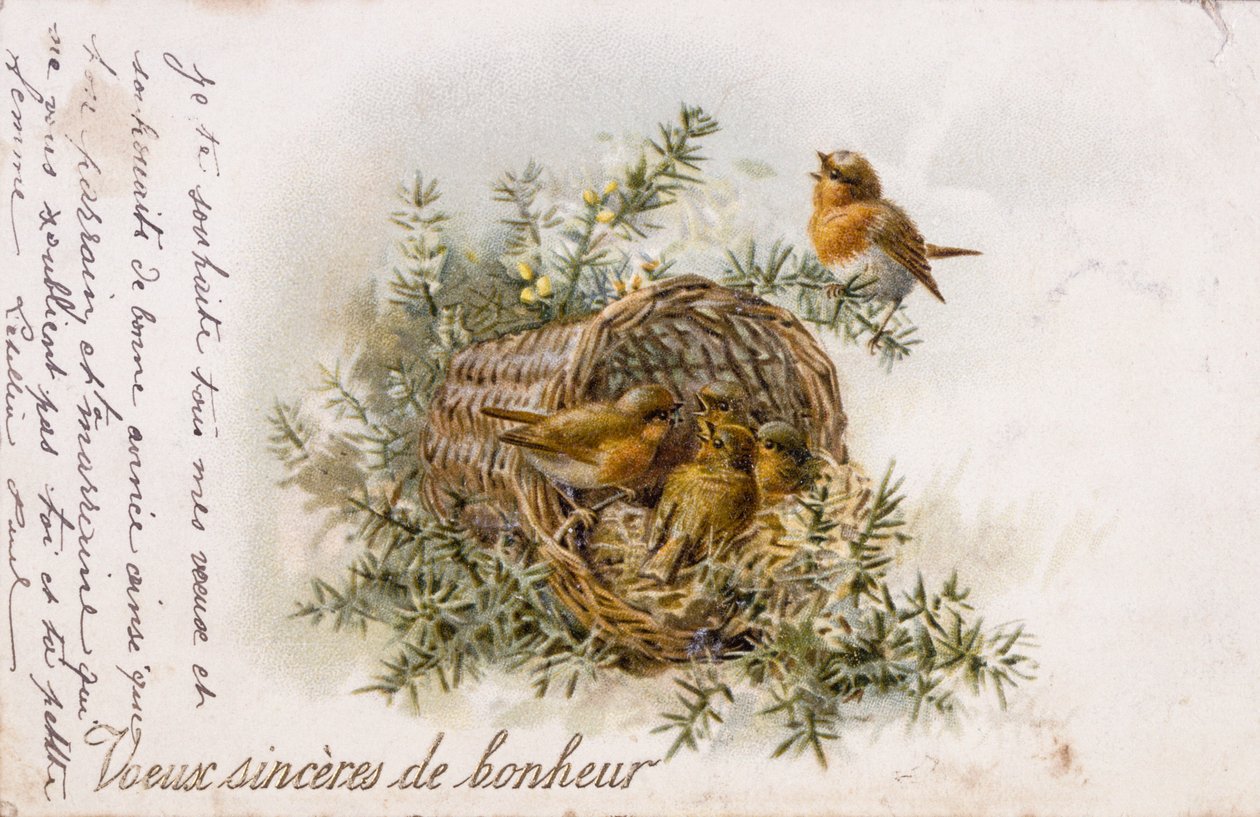 Cartolina di auguri francese con pettirosso e nido da Unbekannter Künstler