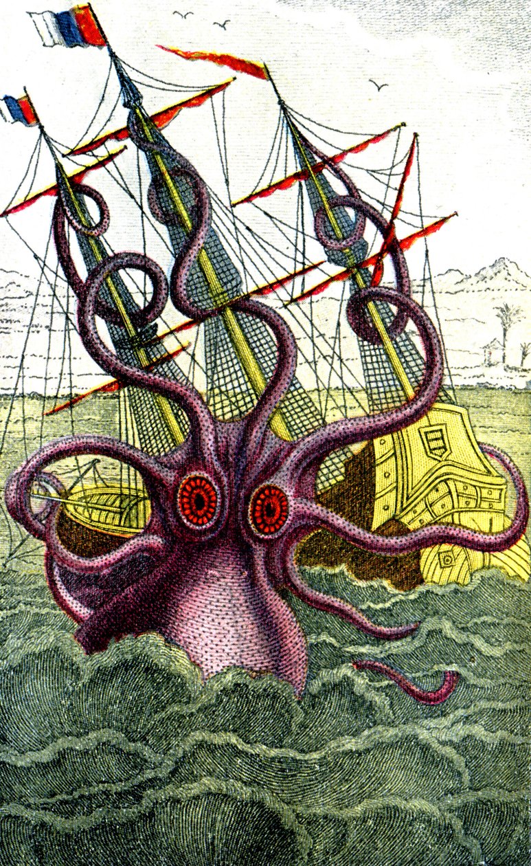 Calamaro gigante da Unbekannter Künstler