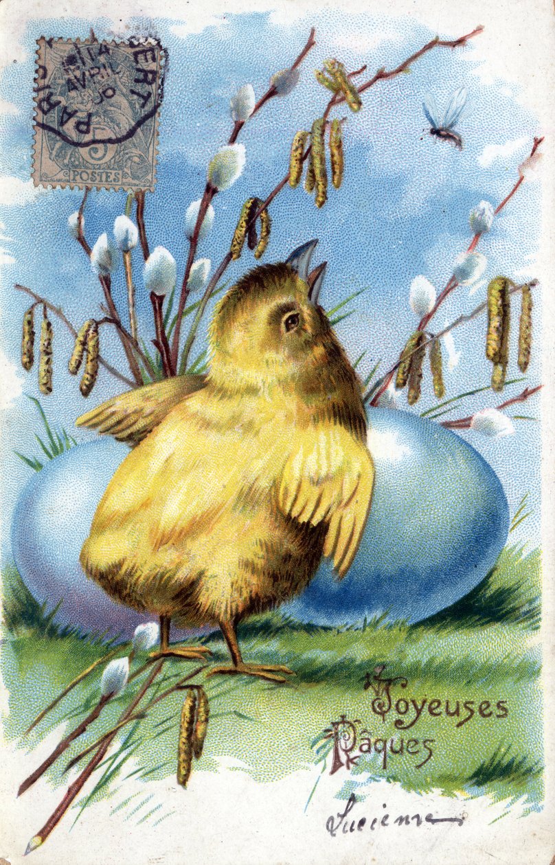 Cartolina di auguri per Pasqua: un pulcino e uova - Cartolina datata 1906 da Unbekannt