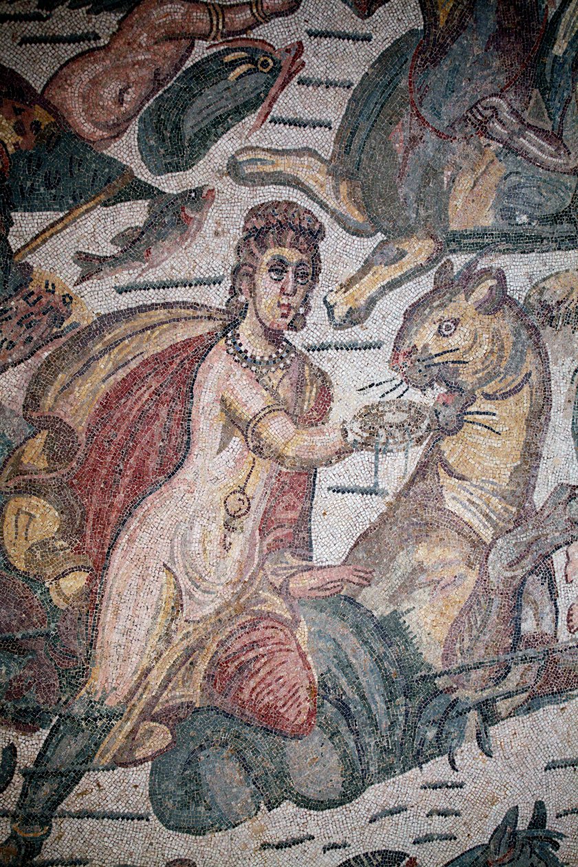 Sala di Arione. Scena marina. Creature marine. Nereidi e tritoni. III - IV secolo. Villa Romana del Casale, Sicilia. Sito UNESCO da Unbekannt