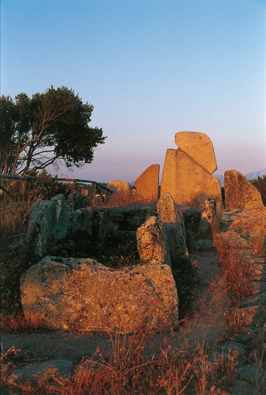 Italia, Sardegna, Arzachena, provincia di Olbia-Tempio, Tomba dei Giganti di Li Longhi, vista posteriore da Nicolas d