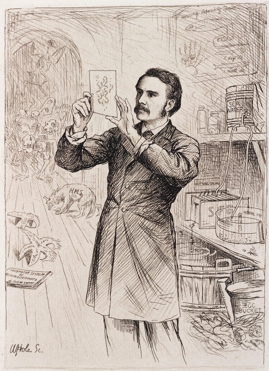 James Cossar Ewart, zoologo da Unbekannt