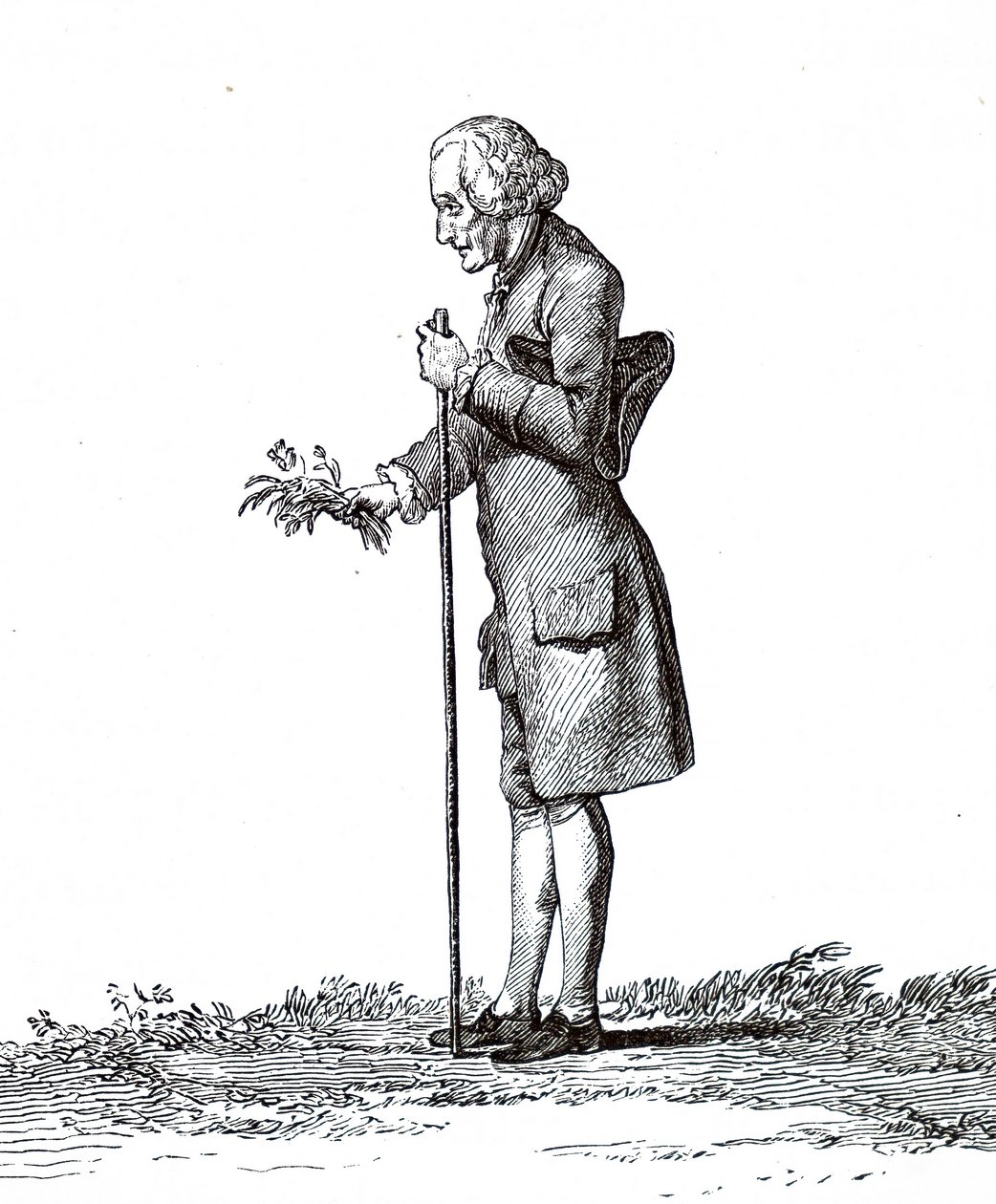 Jean-Jacques Rousseau da Unbekannt