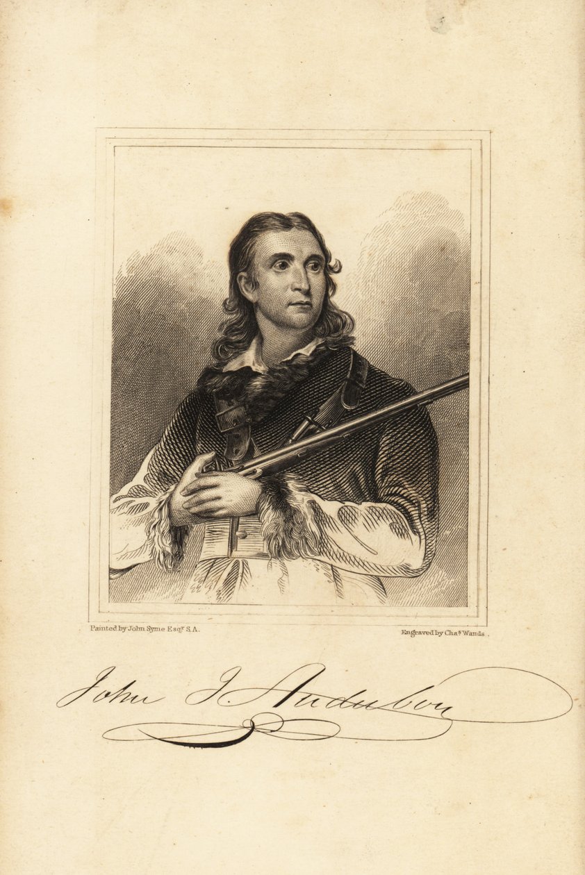 John James Audubon, ornitologo, naturalista e pittore americano da Unbekannt