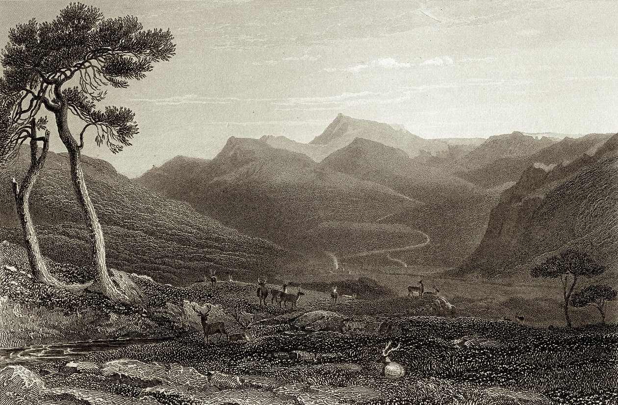 Lachin Y Gair da Unbekannter Künstler