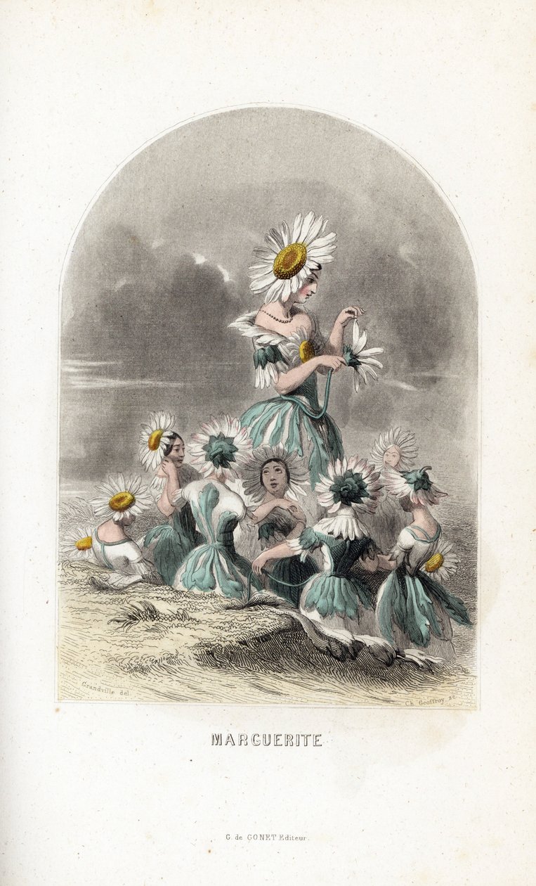 Le fate delle margherite dei prati, con cappelli di fiori, una lascia i petali di una margherita - Acquaforte di Charles Geoffroy (1819-1882), dopo un