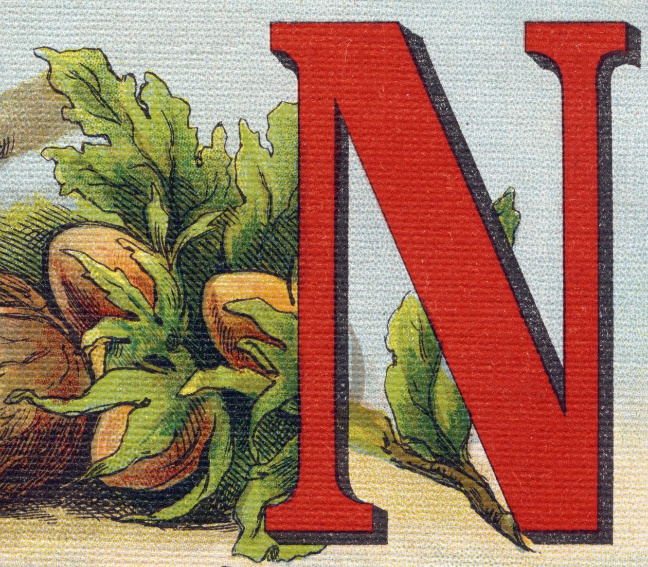 Lettera N: nocciole. Incisione in "Alphabet de ma petite fille". Bernardin-Bechet e Fils, librai-editori, Parigi, circa 1895. Album infrangibile su tela. Bibliothèque des Bebes. da Unbekannt