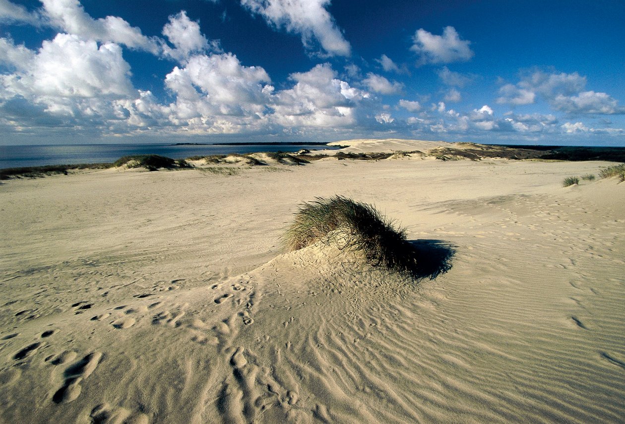 Lituania, Klaipeda, Penisola di Curlandia, Nida, dune di sabbia mobili chiamate Sahara Prussiano da William M. Timlin