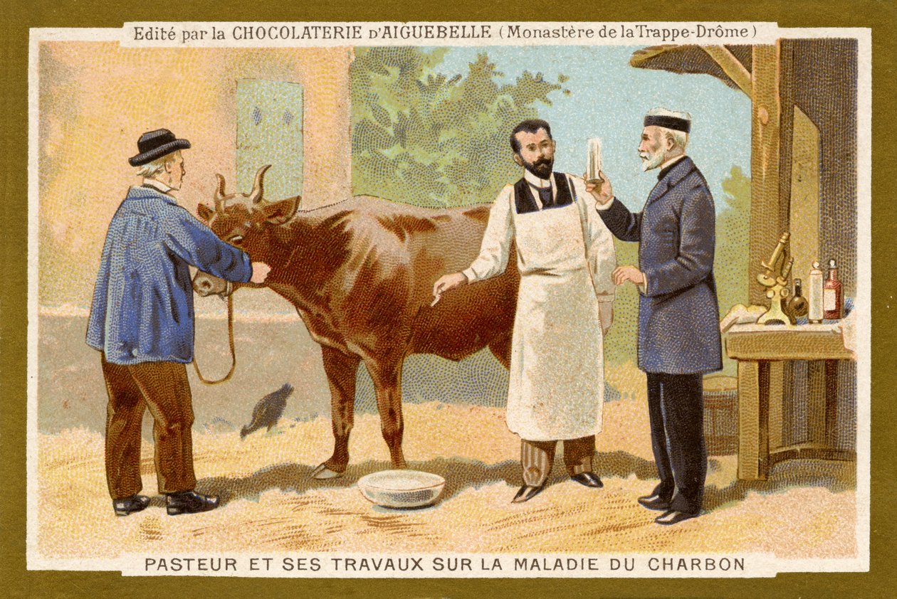 Louis Pasteur al lavoro per trovare una cura per l