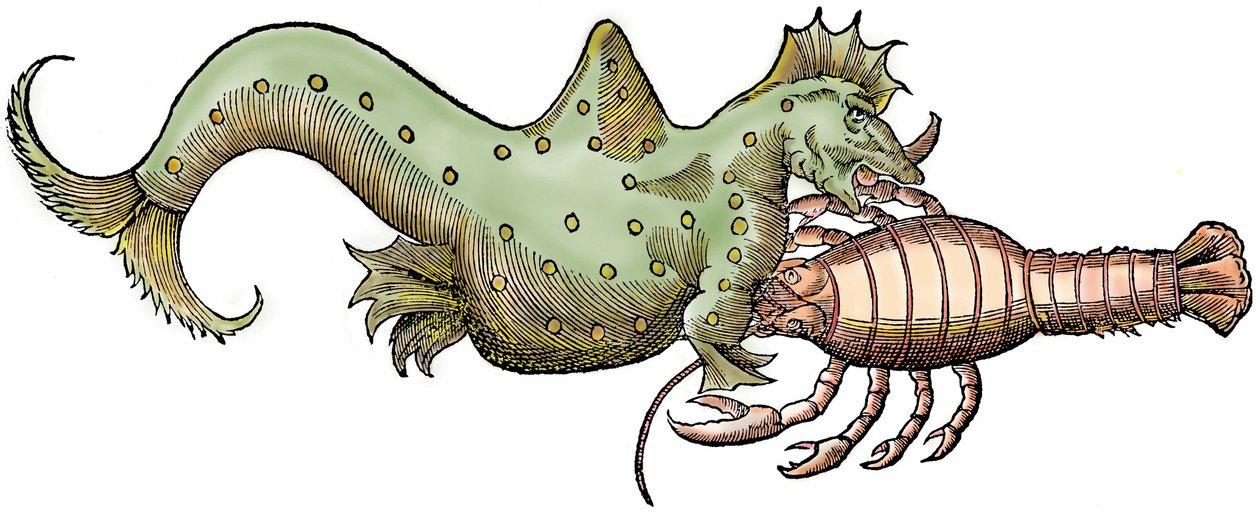 Drago marino e crostaceo gigante, xilografia tratta da 