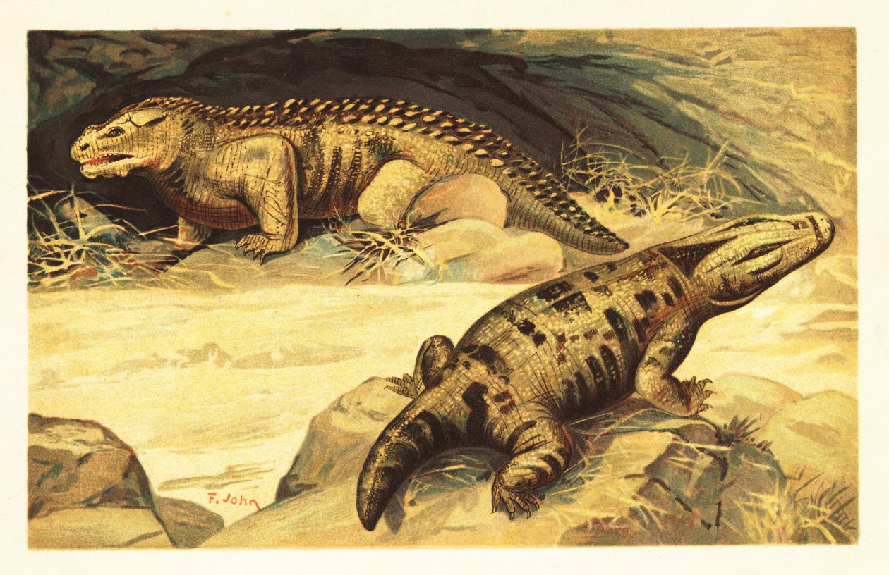 Mastodonsaurus e Pareiasaurus da Unbekannter Künstler