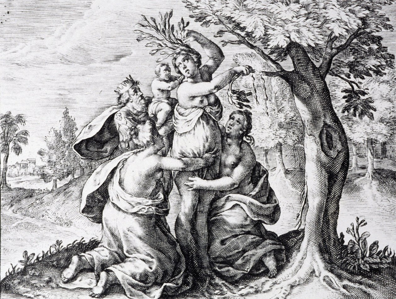 Mattei nelle metamorfosi di Ovidio da Unbekannter Künstler