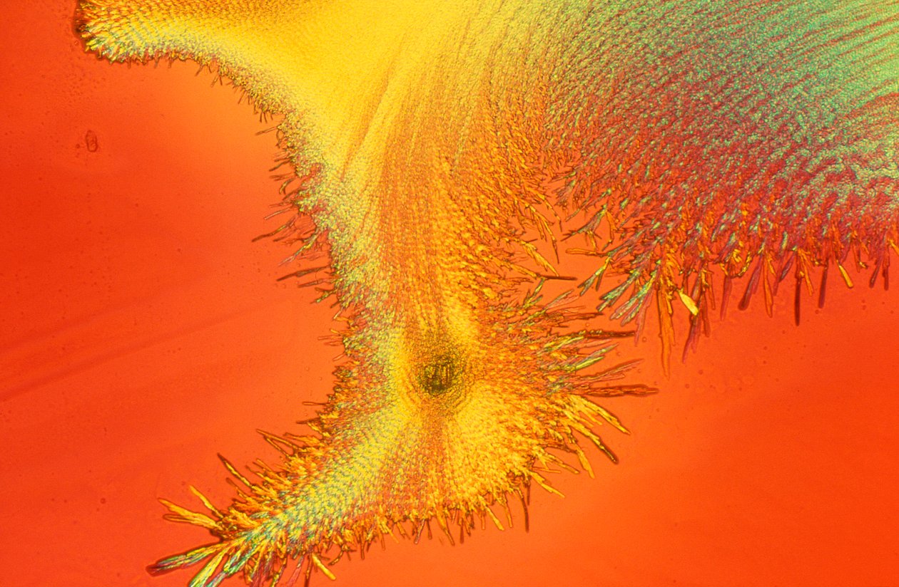 Micrografie (Luce) Silicato di sodio, micrografia a luce da Unbekannter Künstler