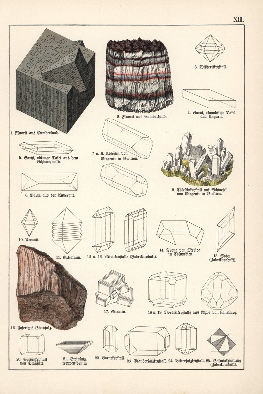 Minerali e cristalli (fluorite, celestina e sale gemma fibroso) - Cromolitografia di Mineralogia di Gustav Adolph Kengott, estratta da Storia Naturale di Gotthilf Heinrich von Schubert da Unbekannter Künstler