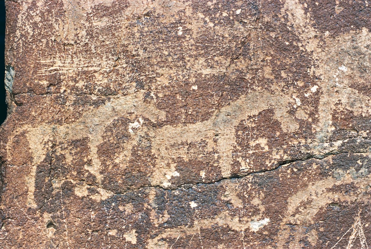 Mongolia, Deserto del Gobi, incisione rupestre da Benjamin Baud