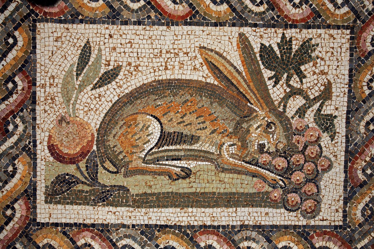 Mosaico che rappresenta una lepre con uno sguardo sospettoso che bruca un grappolo d